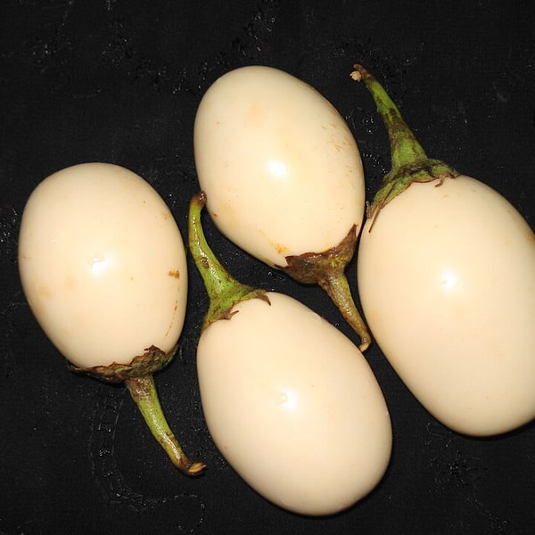 Long Purple Eggplant