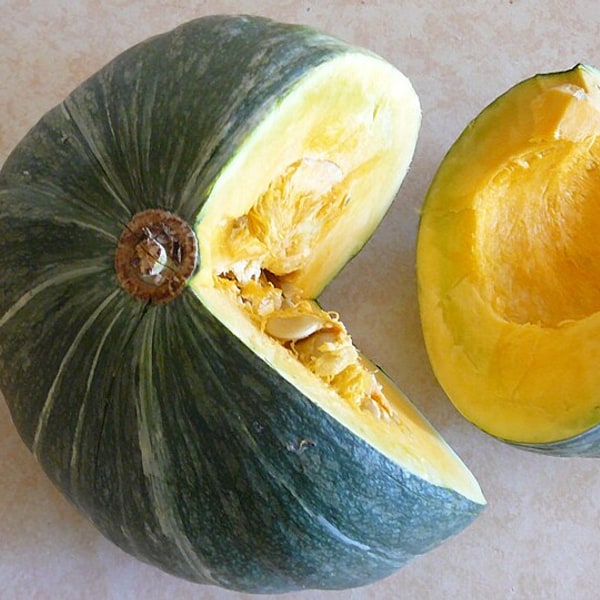 Kabocha Squash