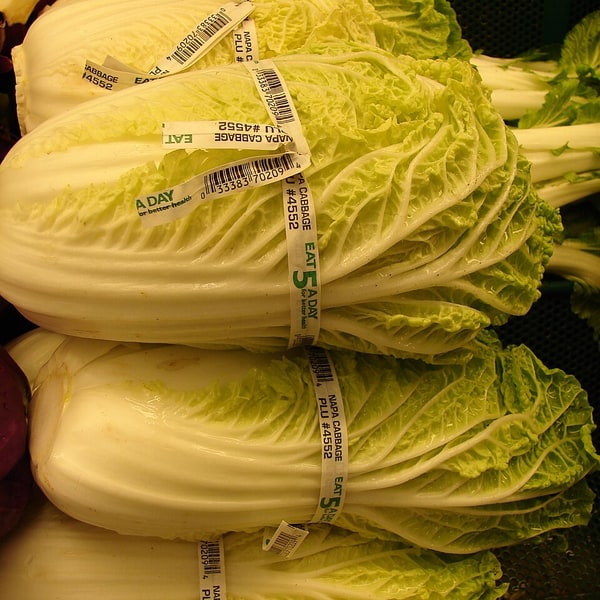 Napa Cabbage