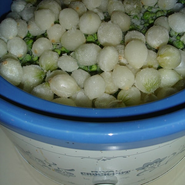 Pearl Onion Gold